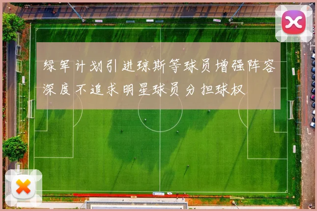 绿军计划引进琼斯等球员增强阵容深度不追求明星球员分担球权